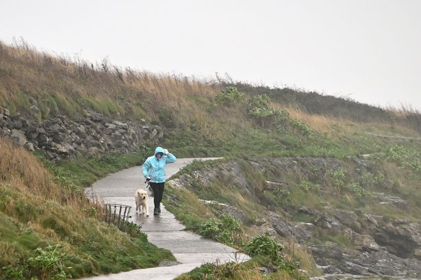 Storm Darragh: Some schools in Wales shut on Monday as fallout continues